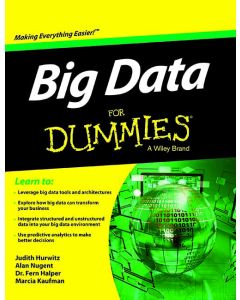 Big Data for Dummies